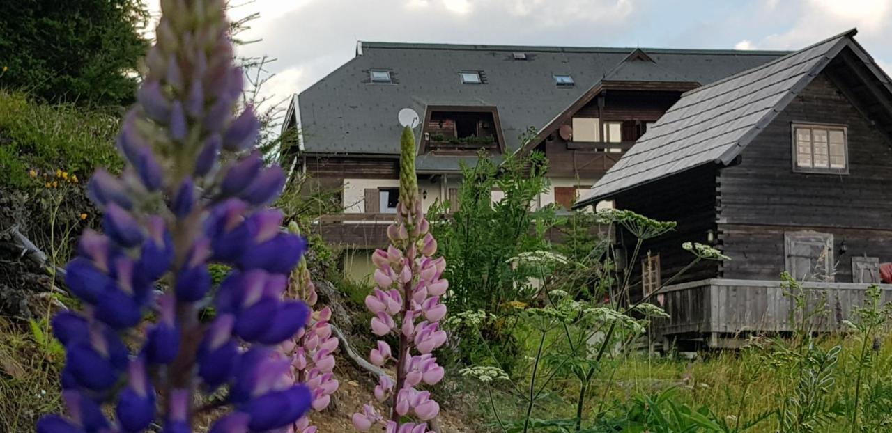 Katschberghoehe 21 Bagian luar foto